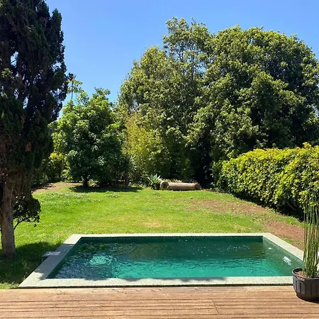 Serenity Garden - Scandinavian Style