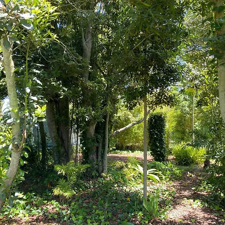 Serenity Garden - Scandinavian Style *