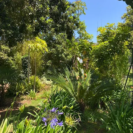 Serenity Garden - Scandinavian Style