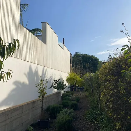 Serenity Garden - Scandinavian Style * Adelantado