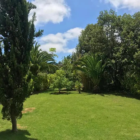Villa Serenity Garden - Scandinavian Style