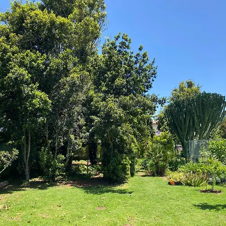Serenity Garden - Scandinavian Style Adelantado