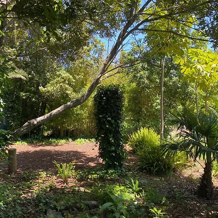 Villa Serenity Garden - Scandinavian Style Adelantado