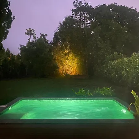 Serenity Garden - Scandinavian Style * Adelantado