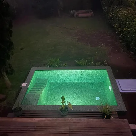 Serenity Garden - Scandinavian Style