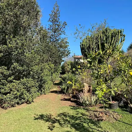 Villa Serenity Garden - Scandinavian Style Adelantado