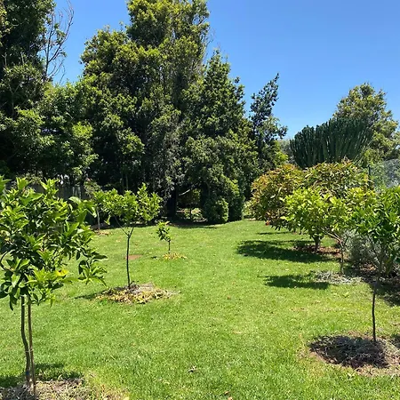 Serenity Garden - Scandinavian Style * Adelantado