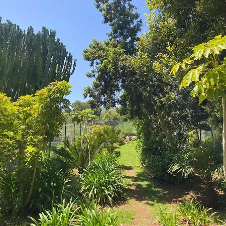 Serenity Garden - Scandinavian Style Adelantado